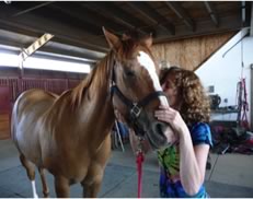 Cat with Mica's Horse